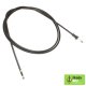 SAJLA HAUBE 6Y1823531B